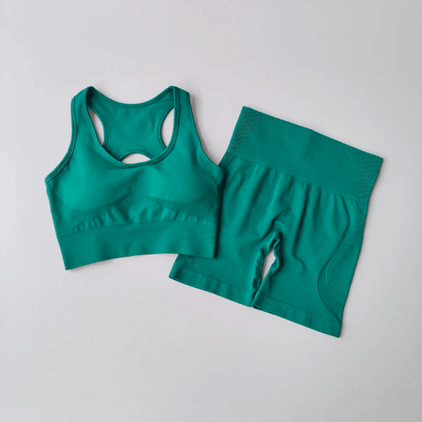 Women's Seamless Yoga Set Sport Bra High Waist Sports Shorts Gym Fitness Sleeveless Workout Suit Sporstwear - Image 7